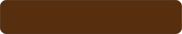 22*080 mm Yıldız Entegre YT-30D Royal Bronz Pvc Kenar Bant