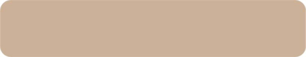 22*0.80 mm Yıldız Entegre VT-278 Cappuccino Pvc Kenar Bant